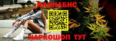 гидра Ставрополь
