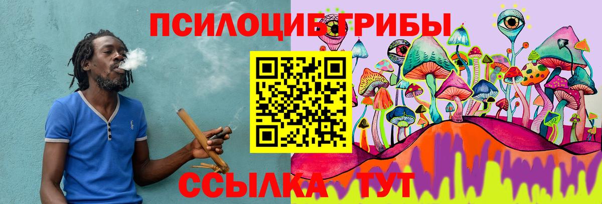 Галлюциногенные грибы Psilocybe Назарово
